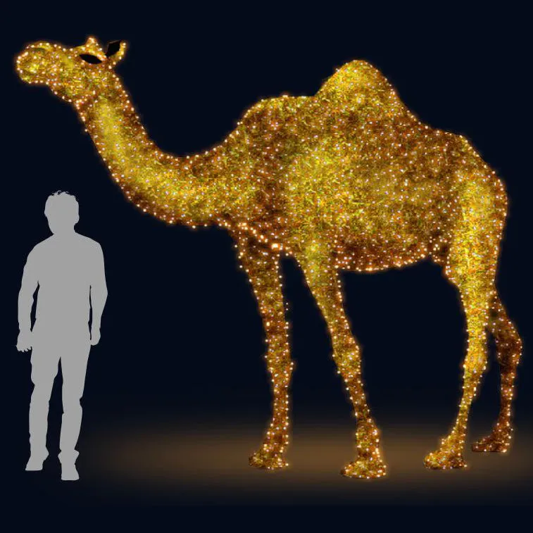 3D LED CAMEL