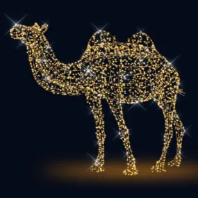 3D LED CAMEL