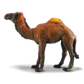 Collecta - Dromedary Camel