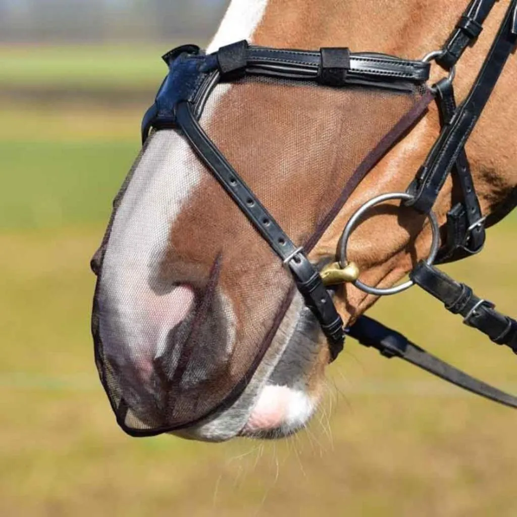 Equilibrium Net Relief Muzzle Net for Grackle Bridles