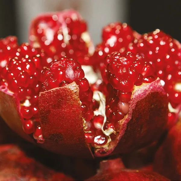 Pomegranate & Plum Reed Diffuser